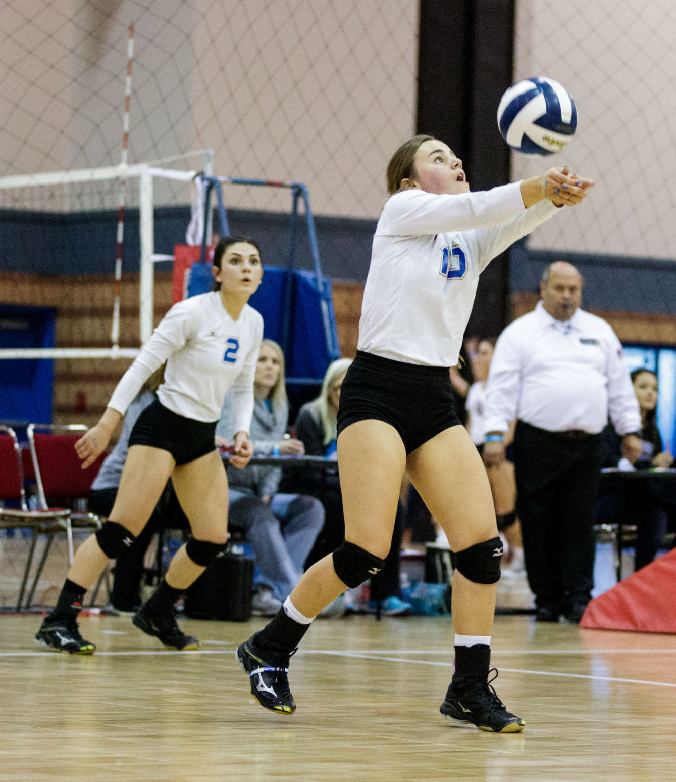 br.divisionIIIvolleyball.111117.010.JPG